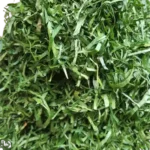 Fresh afang okazi leaves before shredding