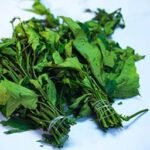 ugu leaf